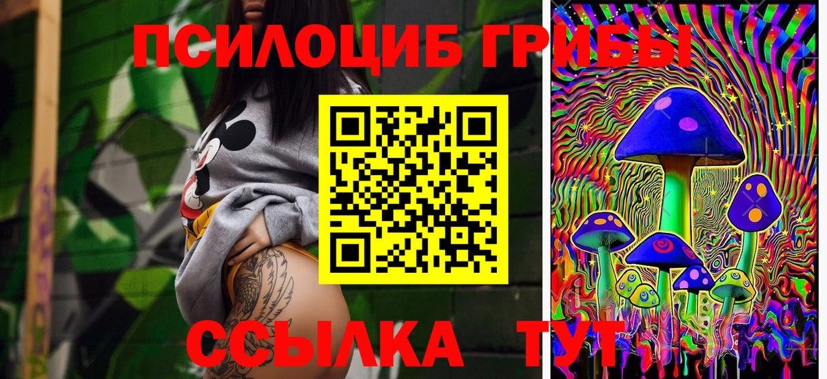 Галлюциногенные грибы Cubensis Мурманск