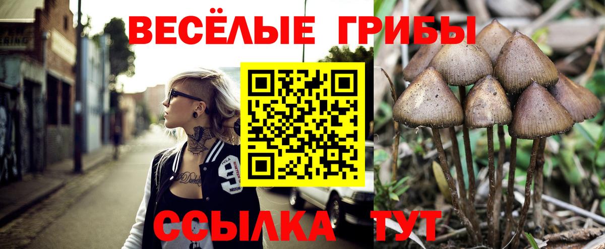 Мурманск  Псилоцибиновые грибы ЛСД  Галлюциногенные грибы Magic Shrooms  Вход с VPN 